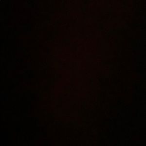 Meet your Posher, Layton